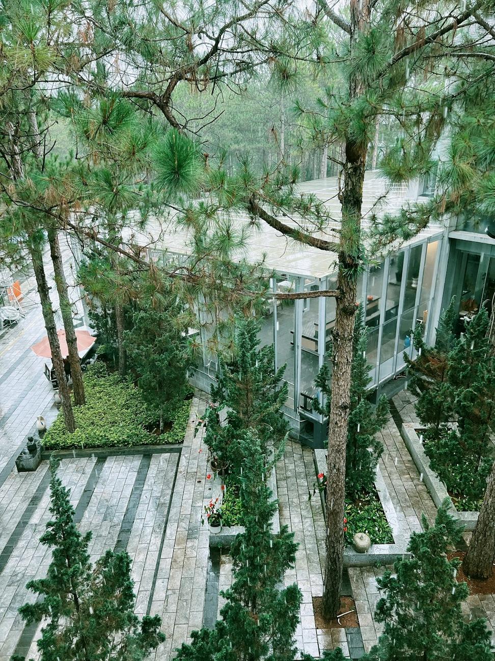 Featured Project
